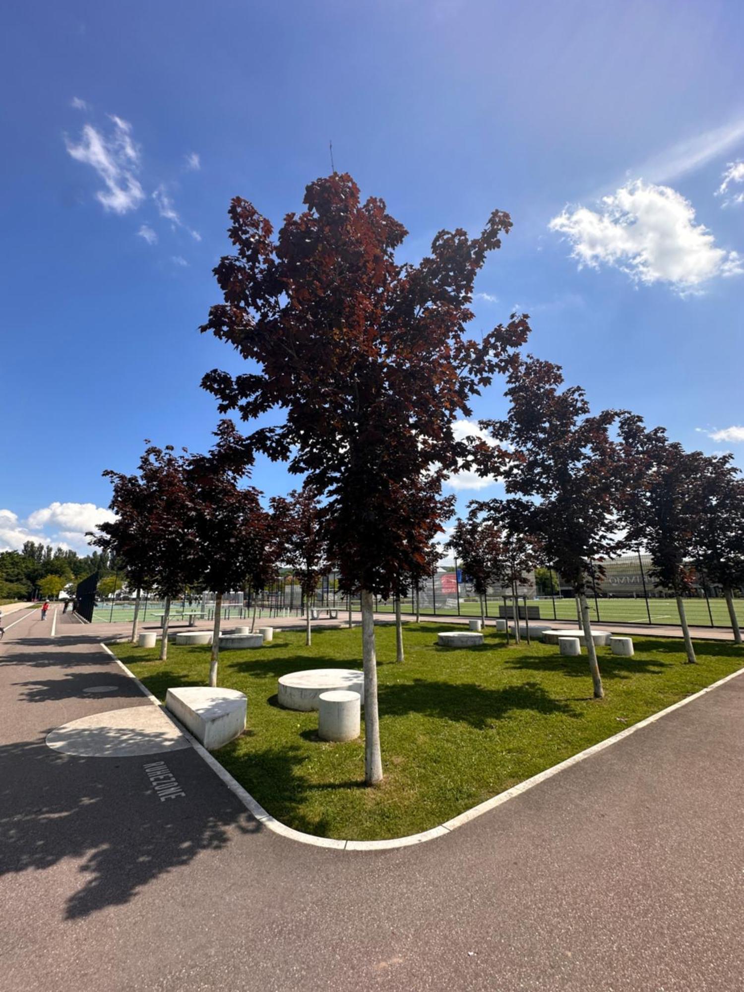 Amao-Brown I Exklusives City-Apartment I 85Qm I Privatparkplatz & Komfort I King-Size Bed Lahr  Esterno foto