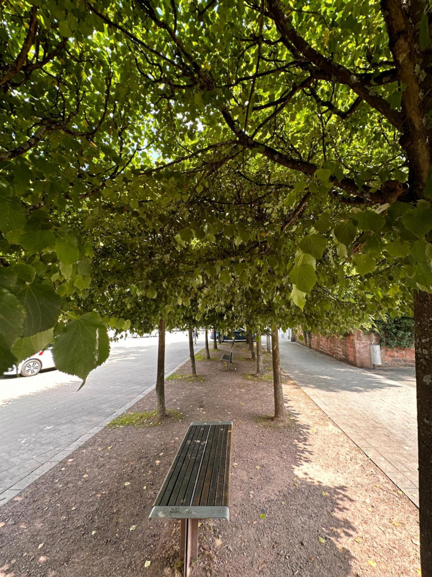 Amao-Brown I Exklusives City-Apartment I 85Qm I Privatparkplatz & Komfort I King-Size Bed Lahr  Esterno foto