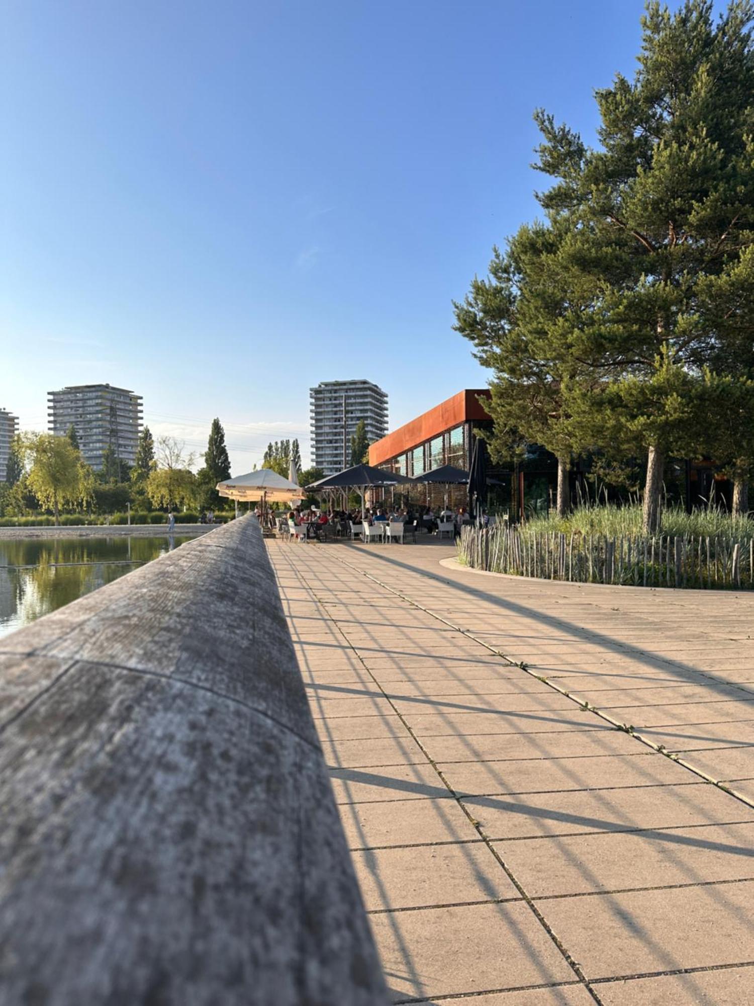 Amao-Brown I Exklusives City-Apartment I 85Qm I Privatparkplatz & Komfort I King-Size Bed Lahr  Esterno foto
